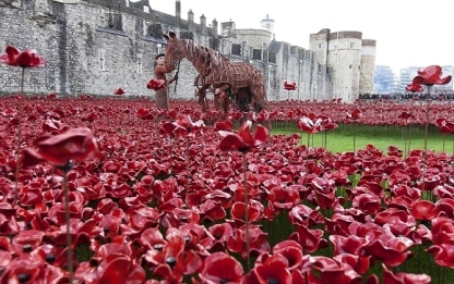 war horse and poppies